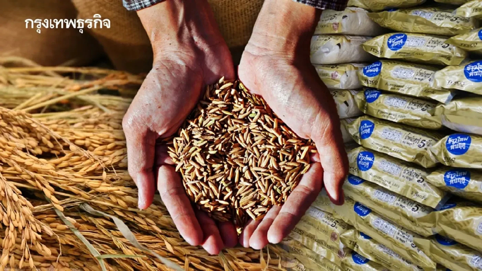 เพิ่มความรู้เรื่องคุณภาพมาตรฐานข้าวไทยให้ชาวนา