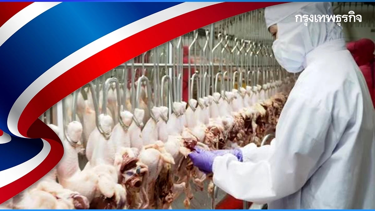 จีนมั่นใจไก่ไทยรับรองส่งออกเพิ่ม เป็น 26 โรง