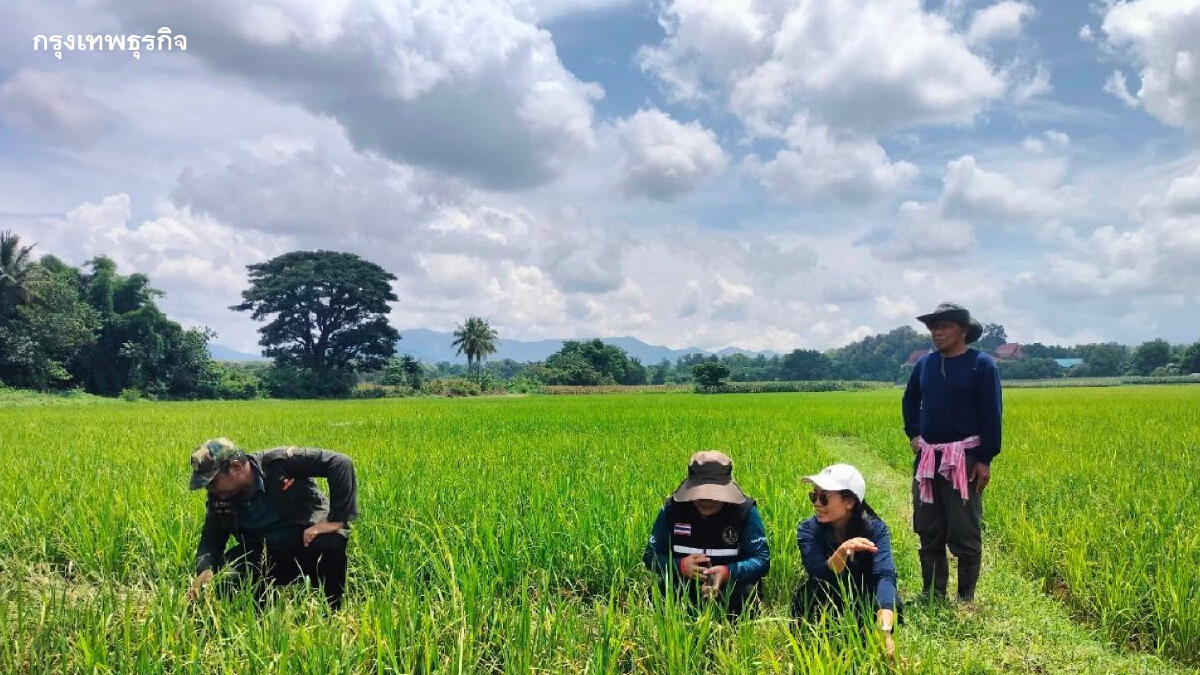 'ศูนย์ข้าวชุมชน' หนุนใช้เทคโนโลยี เพิ่มผลผลิตลดต้นทุนมีคุณภาพ