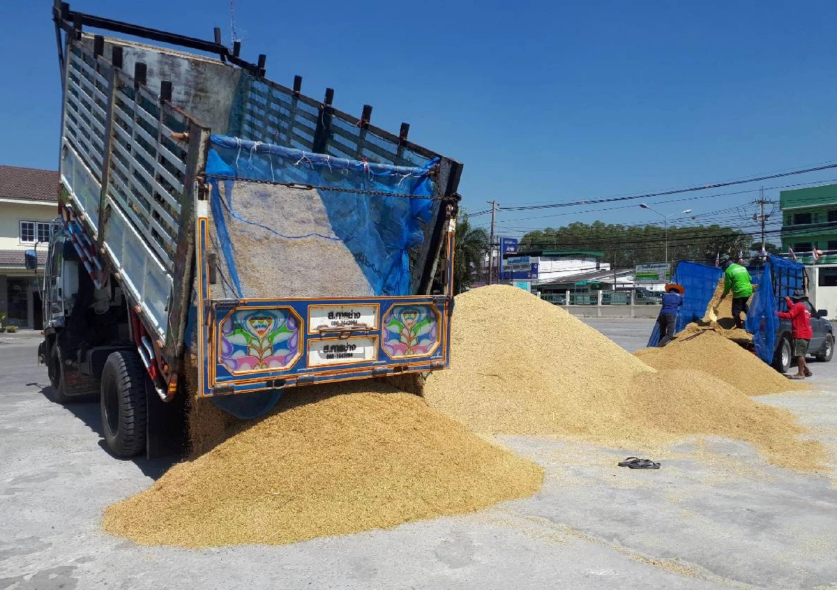 รายงานราคาข้าวขายส่งตลาดกรุงเทพฯ (สมาคมโรงสีข้าวไทย) วันที่ 25 กันยายน 2567