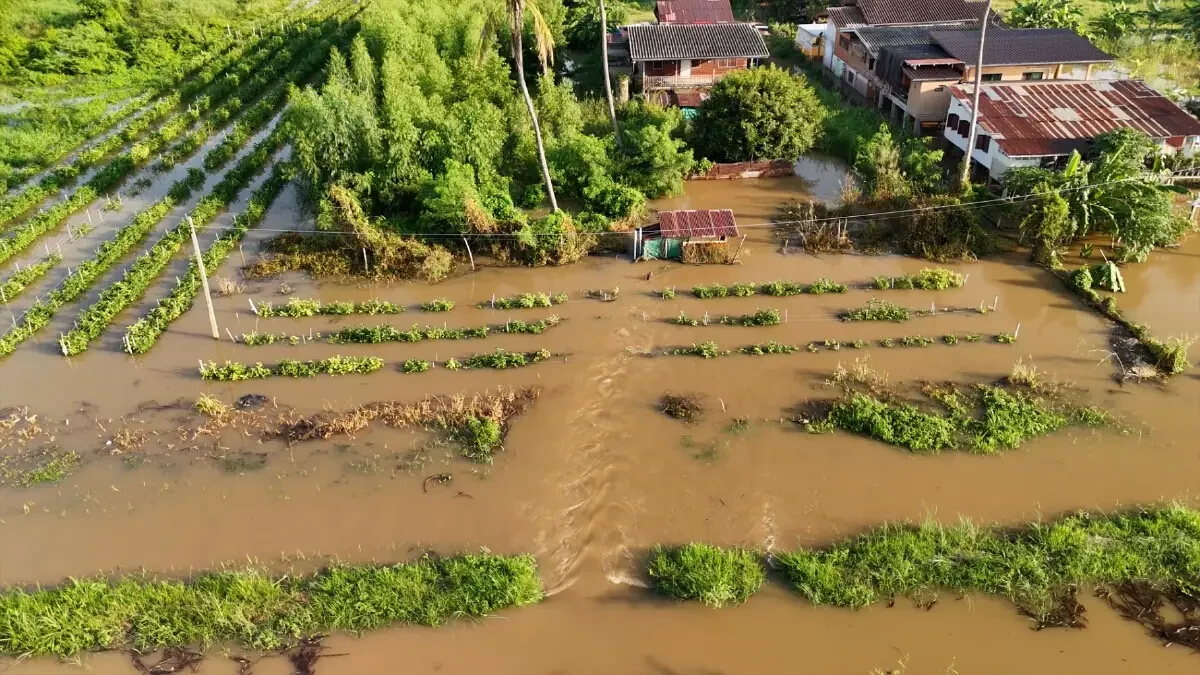 สถานการณ์น้ำ ลุ่มเจ้าพระยา ล่าสุด น้ำทะลักเข้าท่วม ต.ธรรมามูล ชัยนาท แล้ว