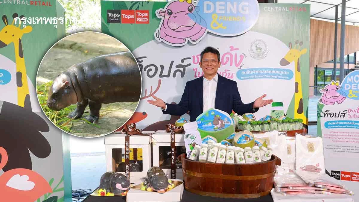 ‘หมูเด้งฟีเวอร์’ ดันนักท่องเที่ยวทะลักเขาเขียวโต 4 เท่า แตะ 3 แสนคนต่อเดือน