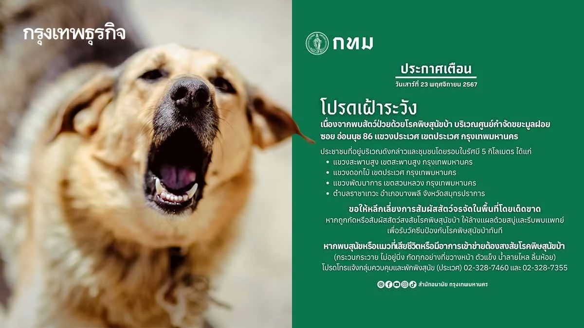 งานเข้า! ชาวกรุงเทพ โรคพิษสุนัขบ้าระบาด เช็กด่วนขยายพื้นที่เฝ้าระวัง
