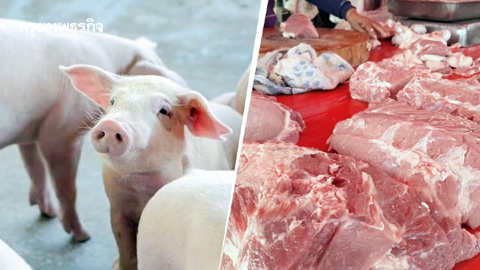 รัฐเข้มงวดสารเร่งเนื้อแดง ยกระดับคุณภาพชีวิตผู้บริโภคยั่งยืน