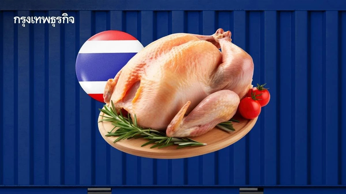ส่งออกไก่ไทยสดใส หลังตลาดโลกต้องการสูง