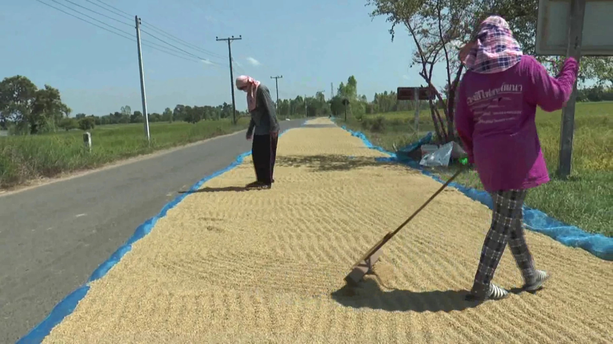 รายงานราคาข้าวขายส่งตลาดกรุงเทพฯ (สมาคมโรงสีข้าวไทย) วันที่ 18 ธันวาคม 2567