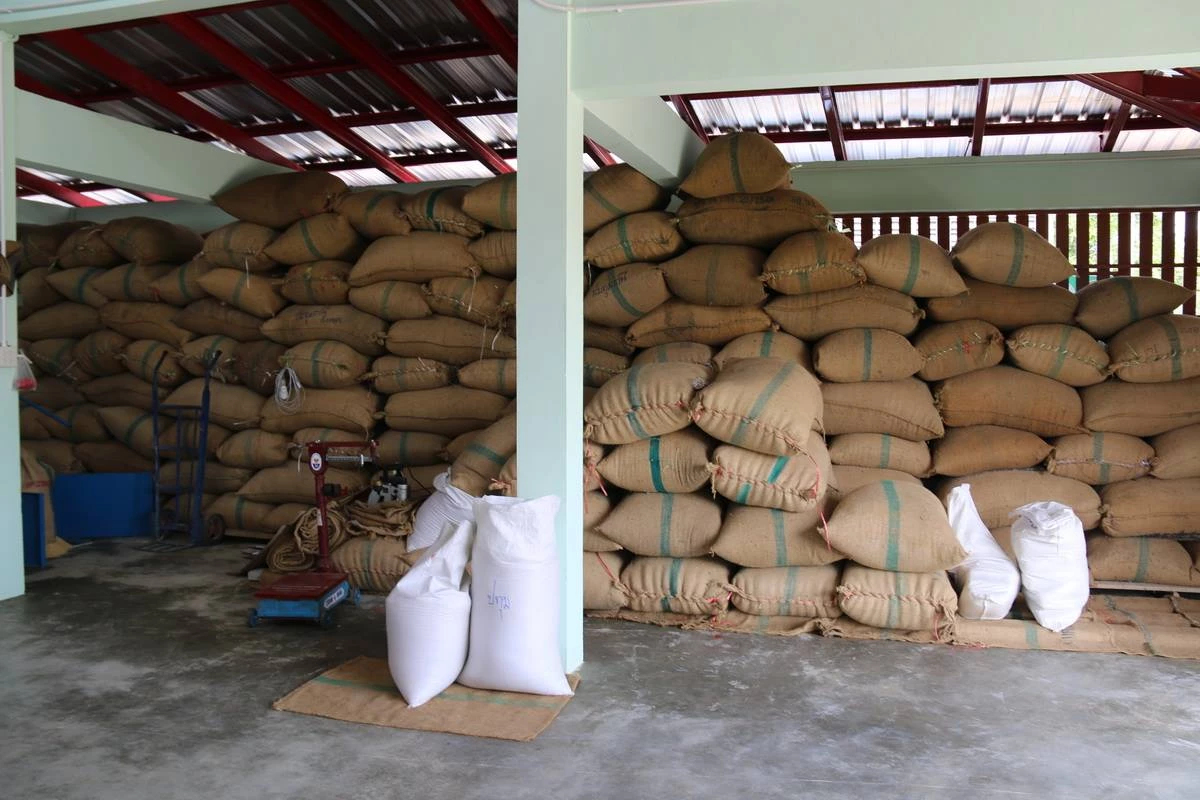 รายงานราคาข้าวขายส่งตลาดกรุงเทพฯ (สมาคมโรงสีข้าวไทย) วันที่ 19 ธันวาคม 2567