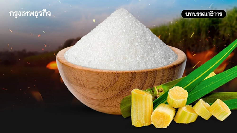 แก้อ้อยไฟไหม้ 20 ปี โรงงานน้ำตาลไม่หยุดรับซื้อ