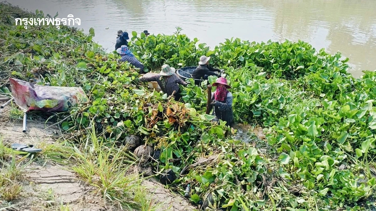 กรมชลประทาน เดินหน้าจ้างแรงงานกว่า 84,000 คน หวังช่วยเกษตรกรทั่วประเทศ