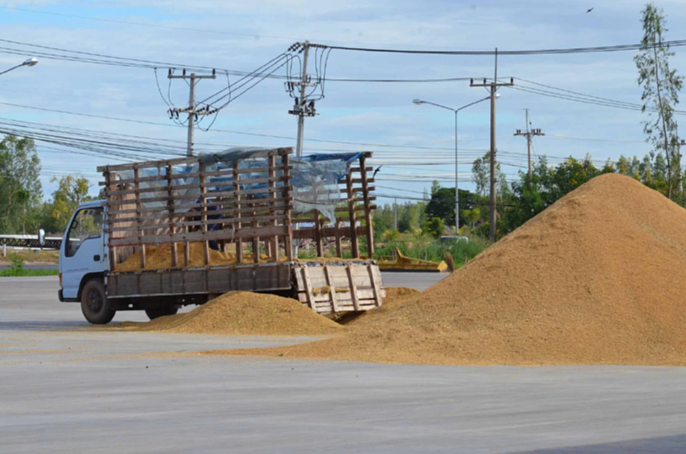 รายงานราคาข้าวขายส่งตลาดกรุงเทพฯ (สมาคมโรงสีข้าวไทย) วันที่ 30 มกราคม 2568