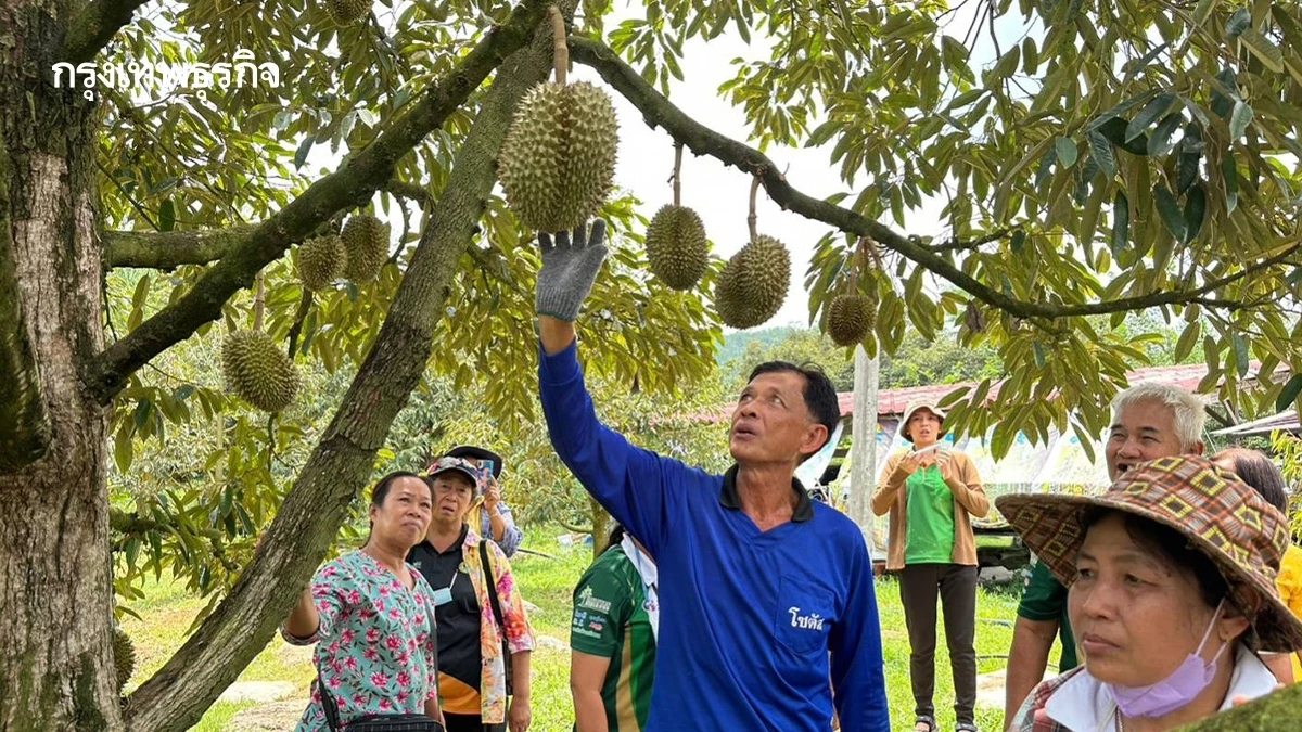 กรมส่งเสริมการเกษตร ปั้น Smart Farmer Model เสริมศักยภาพเกษตรกรต้นแบบ