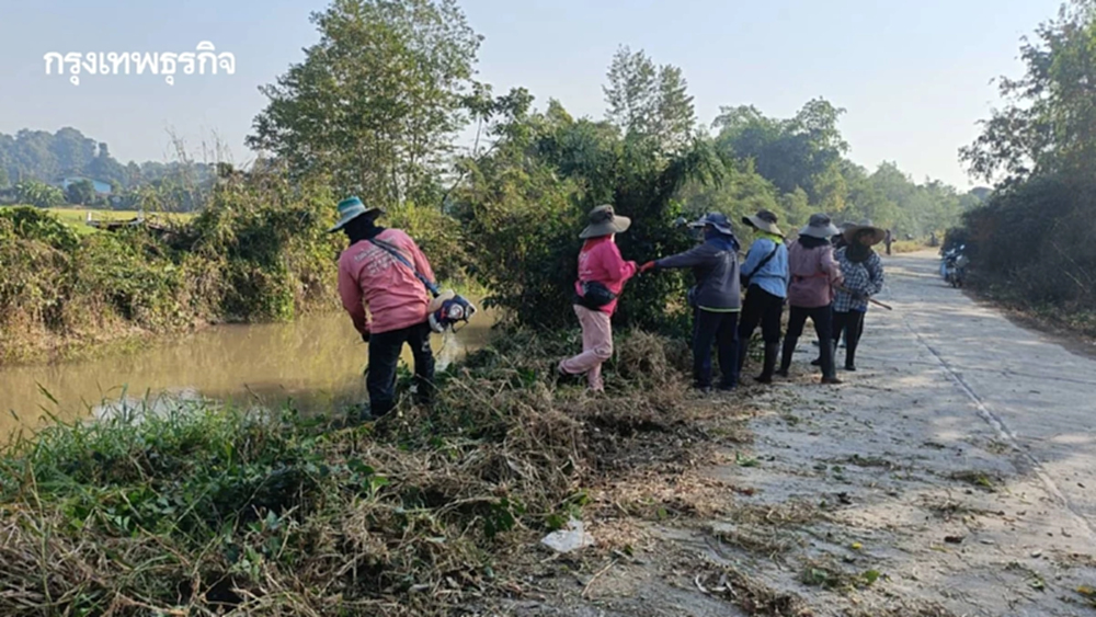 กรมชล  เร่งกำจัดวัชพืช เพิ่มประสิทธิภาพการส่งน้ำรับมือฤดูแล้ง