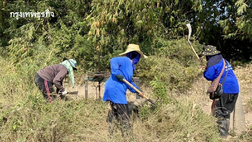 กรมชลประทาน เดินหน้ากำจัดวัชพืช เพิ่มประสิทธิภาพการส่งน้ำฤดูแล้ง