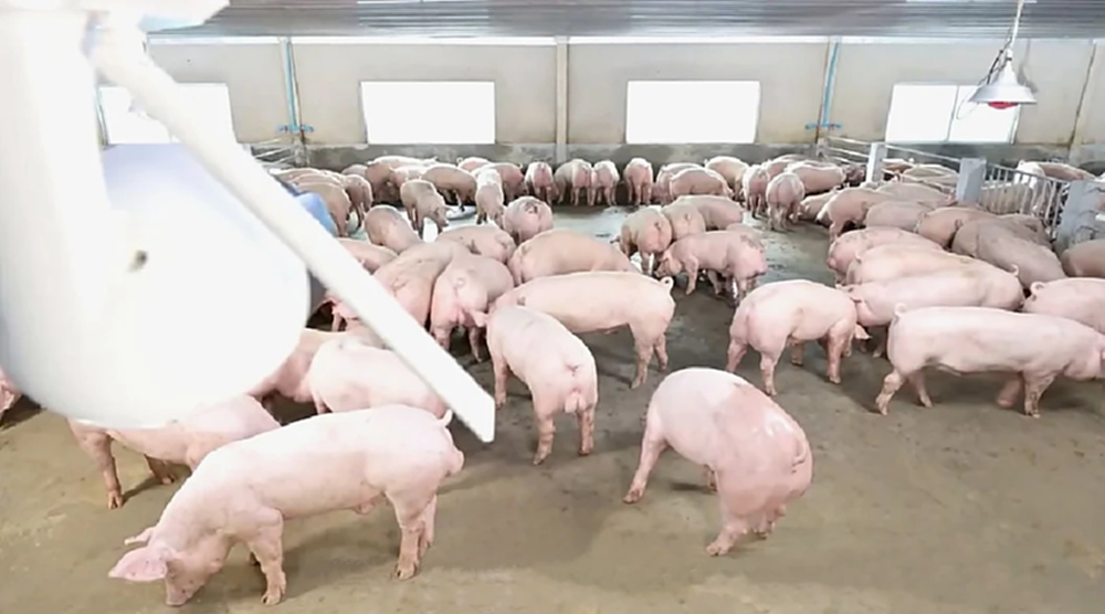 ซีพีเอฟ หนุนเกษตรกรยุคใหม่ Smart Farm ก้าวสู่เกษตรเทคโนโลยี Agri Tech