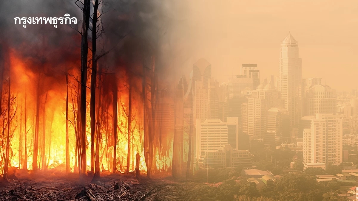 เกาะติดสถานการณ์ฝุ่น PM2.5 เข้ม 6 มาตรการยกระดับลดไฟป่า หมอกควัน