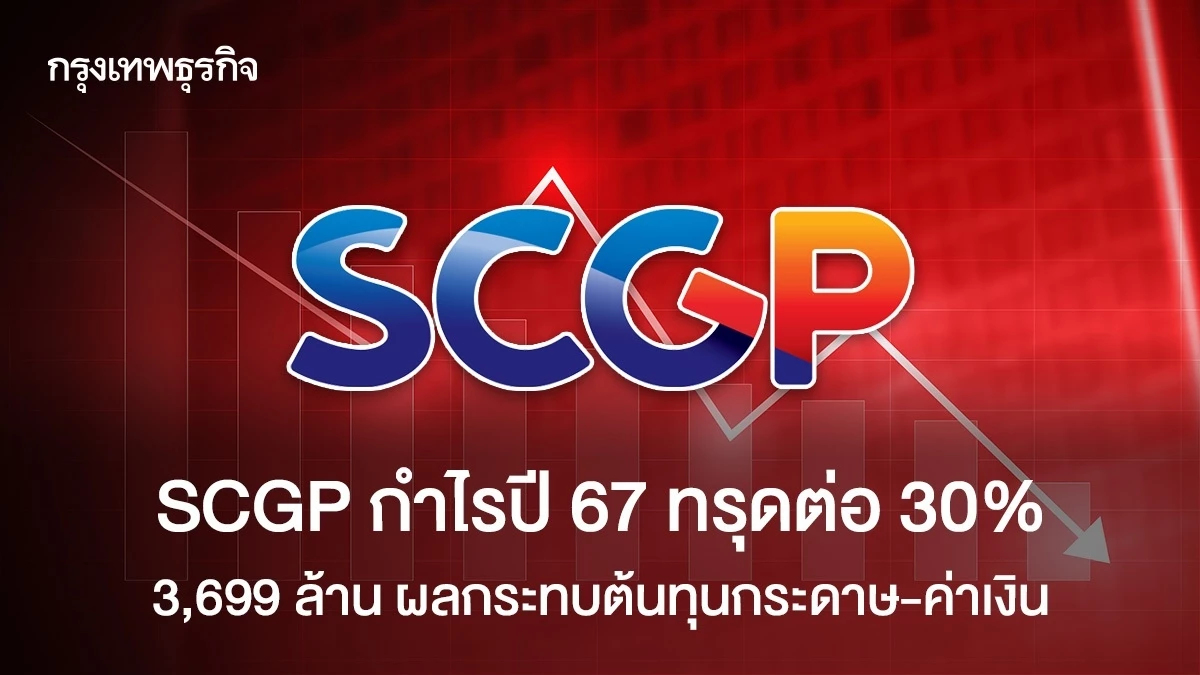 SCGP กำไรปี 67 ทรุดต่อ 30 % ที่ 3,699 ล้าน ผลกระทบต้นทุนกระดาษ-ค่าเงิน
