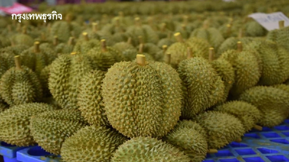 นฤมล ถกจีน เล็งครองส่วนแบ่งทุเรียน 57 % เปิดตลาดโคมีชีวิต