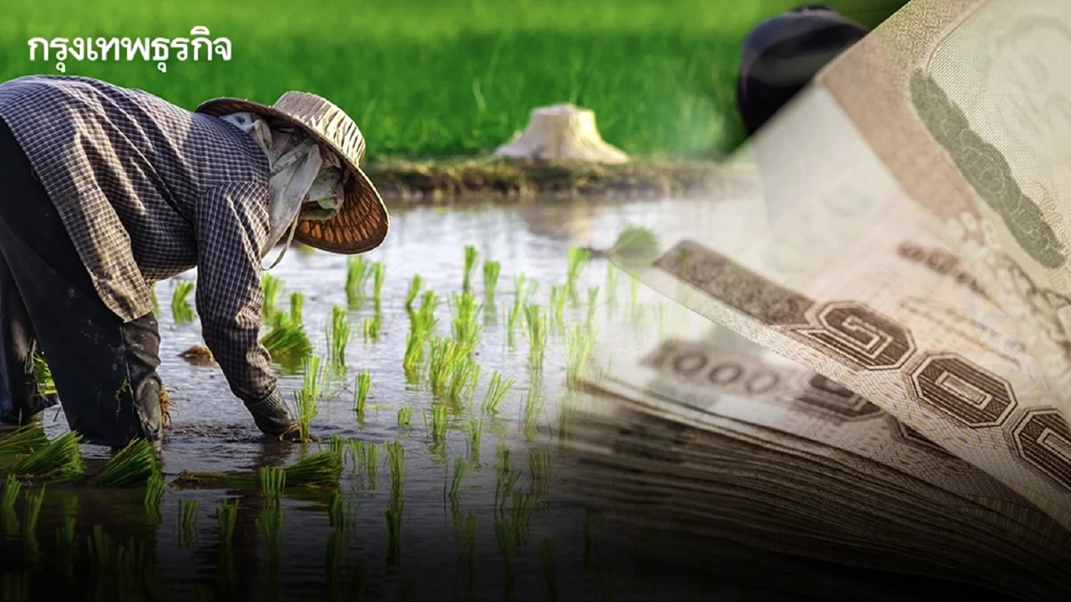 เงินช่วยชาวนา เงินไร่ละ 1000 ล่าสุด เกษตรกรรีบขึ้นทะเบียนก่อน 30 เม.ย. 68