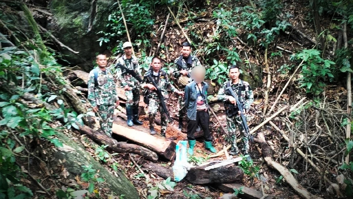 ลอบตัดไม้มะริด ป่าตะบองยักษ์ แจ้ง จนท. รุดจับกุมโดน 6 ข้อหา