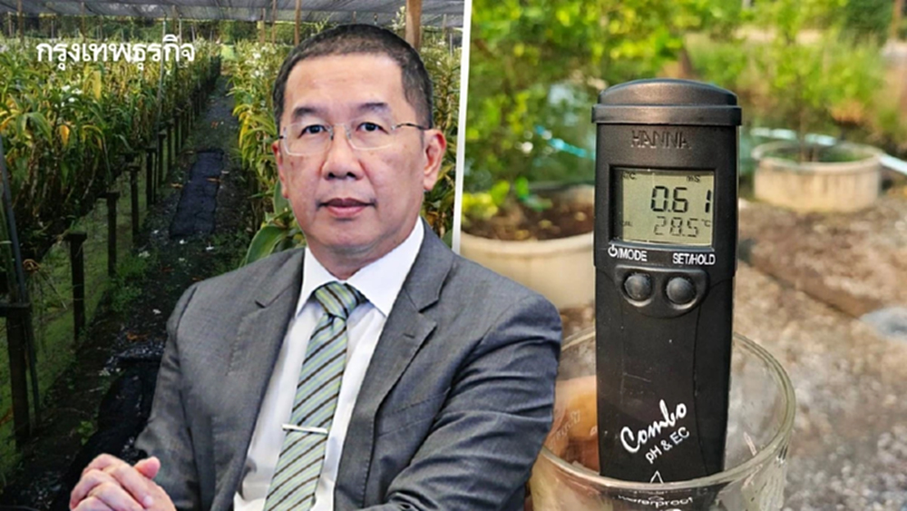 เกษตรฯแนะรักษาระดับน้ำบ่อพักสูง ป้องน้ำเค็มรุกสวนกล้วยไม้