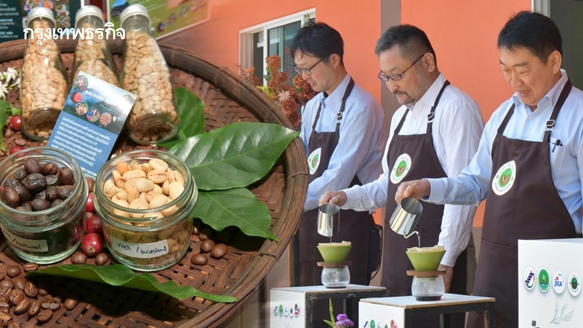 กรมส่งเสริมสหกรณ์ จับมือไจ้ก้าพัฒนากาแฟดอยสะเก็ด