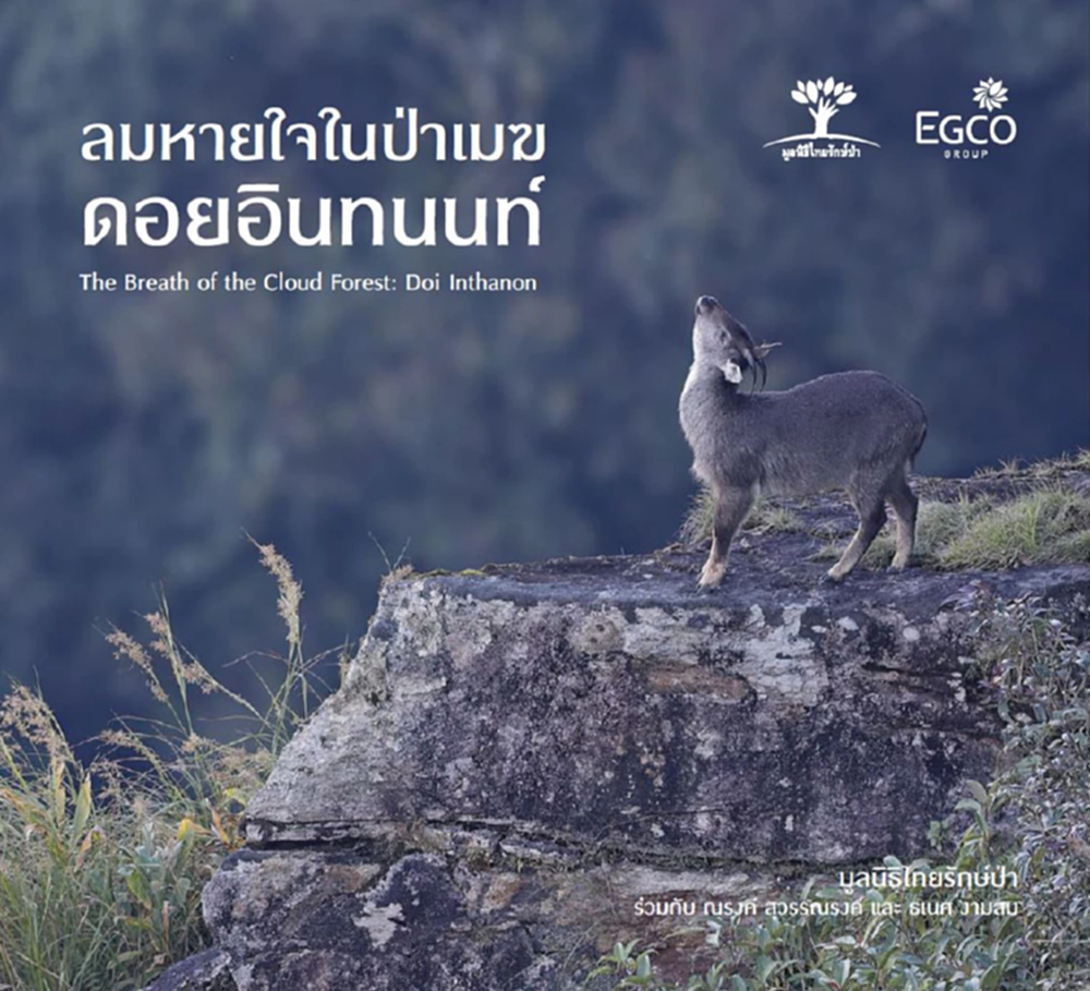 “ป่าเมฆ”ที่ดอยอินทนนท์  สื่อสารผ่านนิทรรศการภาพถ่าย