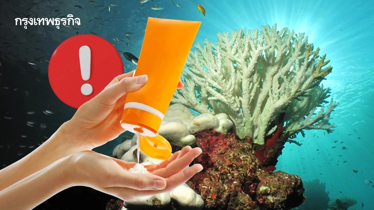 ‘ครีมกันแดด’ ปนเปื้อนตามแนวปะการังปีละหมื่นตัน อันตรายต่อสัตว์ทะเล