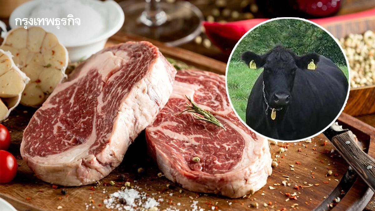 รู้จัก 'ไทยแบล็ค DLD' โคเนื้อไขมันแทรก ยกระดับเนื้อโคไทยสู่ครัวโลก
