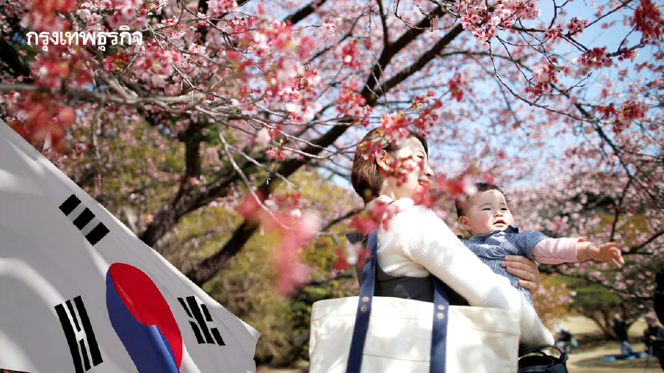 ถอดบทเรียนเกาหลีใต้ เมื่อนโยบายเพิ่มอัตราเกิดได้ผล