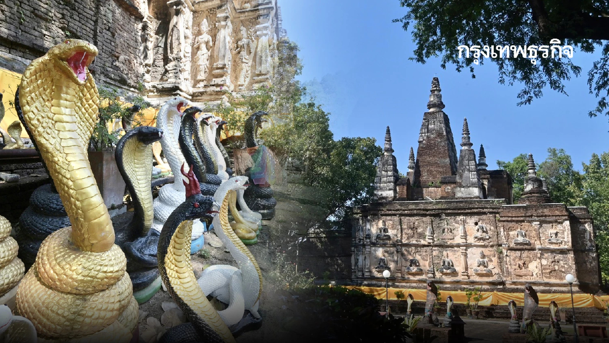 ดูชัด เป็นวันดี ฤกษ์ดี เที่ยวเชียงใหม่ วัดประจำปีเกิด ปีมะเส็ง วัดเจ็ดยอด