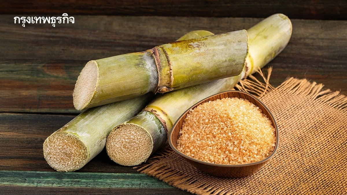 เคาะแล้ว! ราคาอ้อย ปี 66/67 ที่ 1,404.17 บาท ราคาน้ำตาล 601.79 บาท