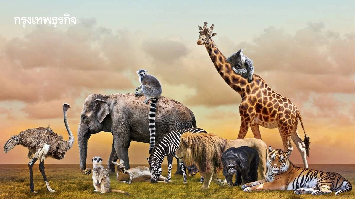 3 มี.ค. วันสัตว์ป่าโลก 4 หมื่นสายพันธุ์เสี่ยงสูญหาย ทางแก้ต้องแลกด้วยเงิน