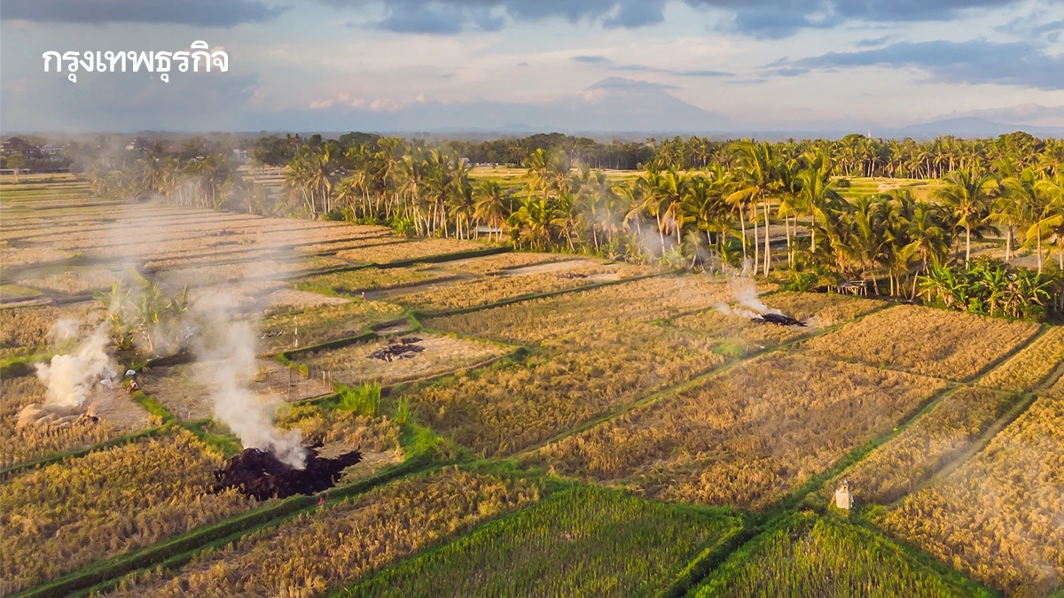 GISTDA เผย จุดความร้อนไทยวานนี้พบ 1,236 จุด พื้นที่เกษตร 206 จุด