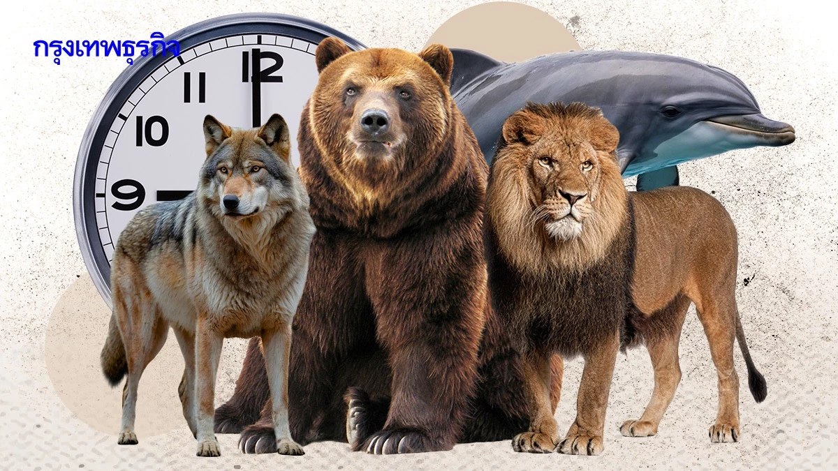 ทำงานเวลาไหนดีที่สุด? 4 Chronotype นาฬิกาชีวิตส่งผลประสิทธิภาพงาน