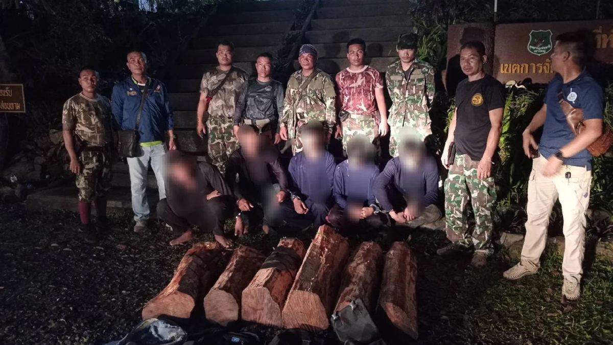 จนท.อุทยานเขาใหญ่ ซุ่มดักจับ 5 ตัดไม้พะยูง บริเวณป่าเขาเขียว