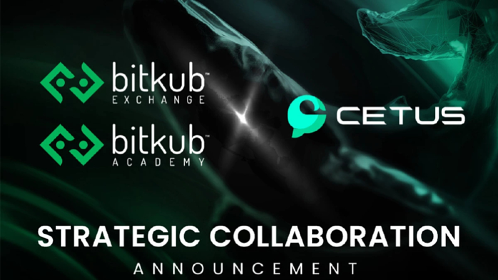 Bitkub Exchange และ Bitkub Academy ประกาศจับมือ Cetus โปรเจกต์ DEX ใหญ่สุดบน Sui