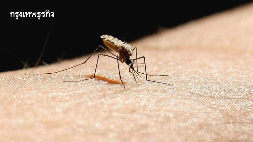 ซินเจนทา เปิดนวัตกรรม โซวเรนทา กำจัดยุง ป้องกันมาลาเรีย