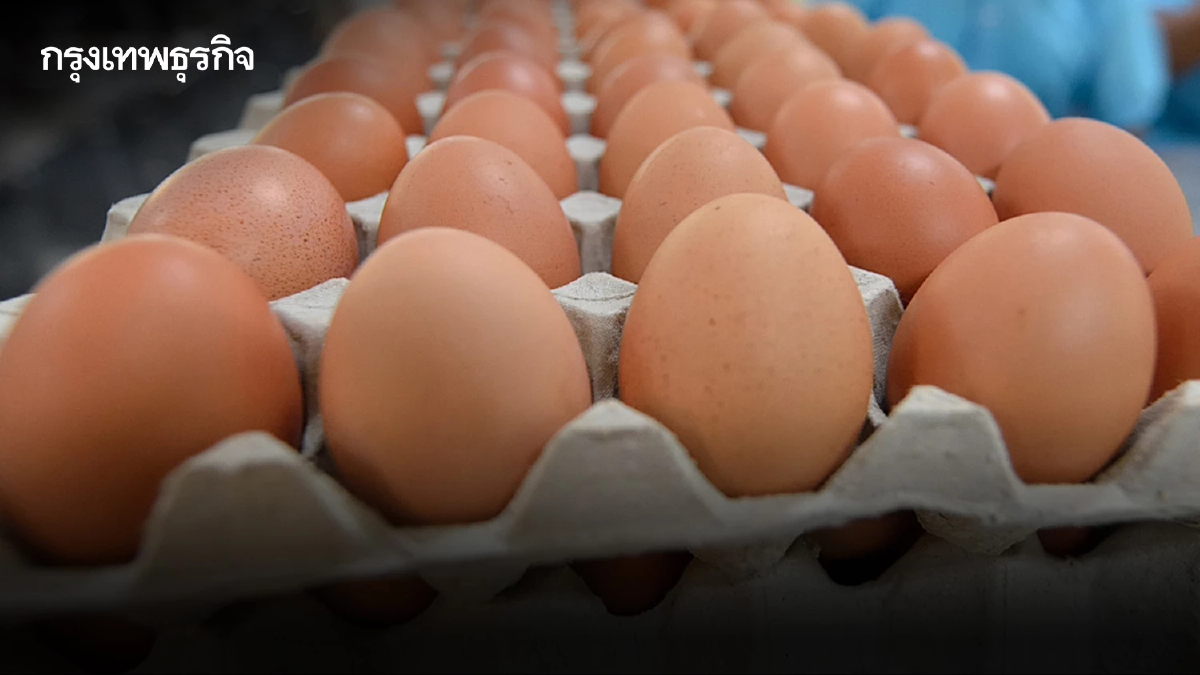 "ไข่ไก่" ขึ้นราคา ปรับขึ้นแผงละ 6 บาท มีผลวันนี้ (17 เม.ย. 68)