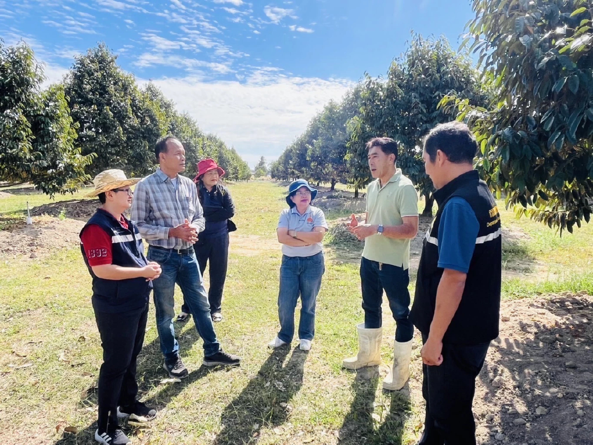 สทศ.6 คาดผลผลิตไม้ผลภาคตะวันออก ออกสู่ตลาด พ.ค.นี้ 1.29 ล้านตัน