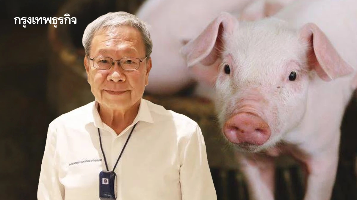 ผู้เลี้ยงหมู ค้านนำเข้าหมูสหรัฐแลกภาษี เสี่ยงวงจรพังทั้งประเทศ