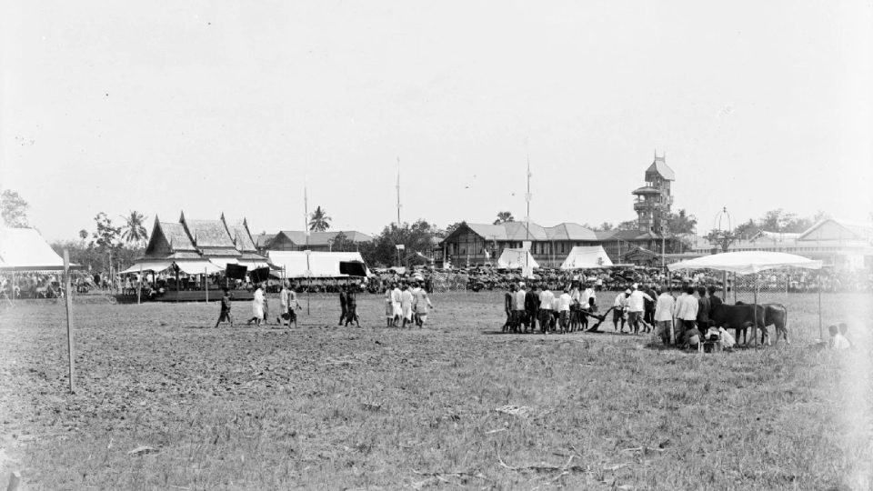 สามท้องทุ่งสำคัญ ในพระราชพิธีพืชมงคลจรดพระนังคัลแรกนาขวัญ