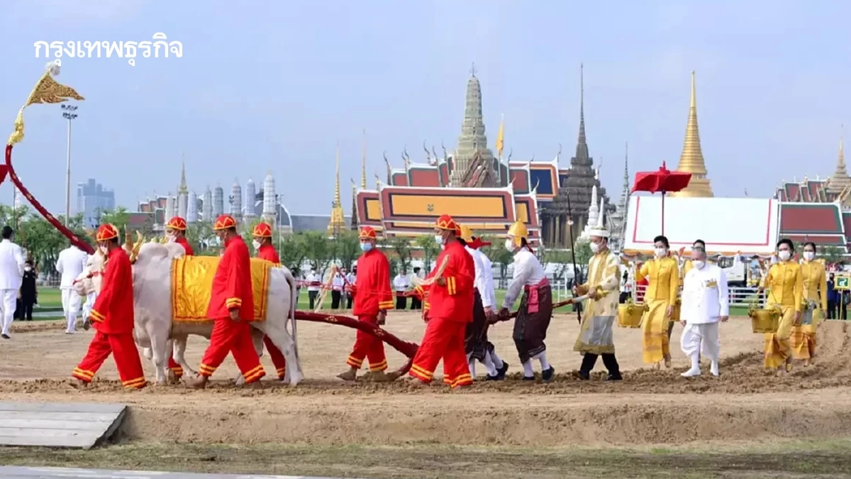 พิธีพืชมงคล 68 เสี่ยงทาย ปริมาณน้ำพอดี อุดมสมบูรณ์ค้าขายดี