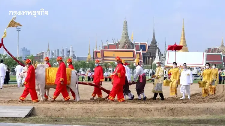 พิธีพืชมงคล 68 เสี่ยงทาย ปริมาณน้ำพอดี อุดมสมบูรณ์ค้าขายดี