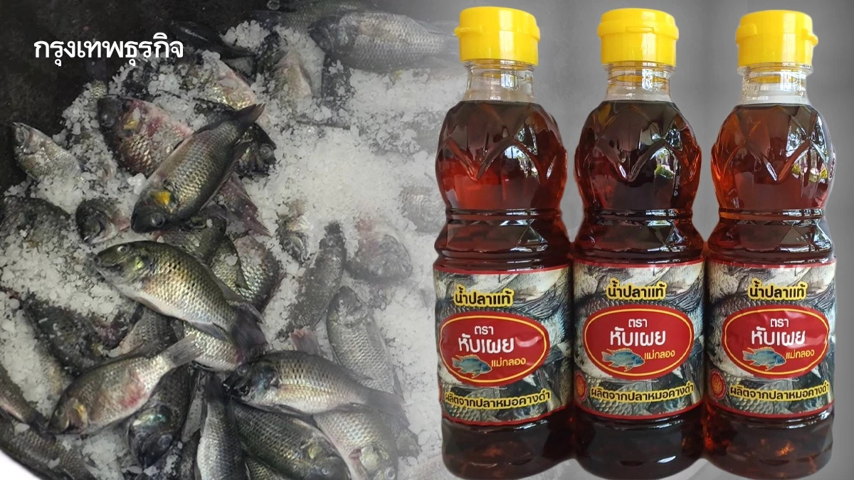 จบเส้นทางปลาหมอคางดำ เอเลี่ยนสปีชีส์ สู่น้ำปลาดีคู่ครัวไทย