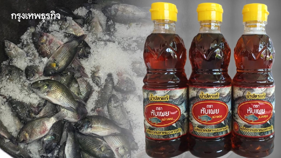 จบเส้นทางปลาหมอคางดำ เอเลี่ยนสปีชีส์ สู่น้ำปลาดีคู่ครัวไทย