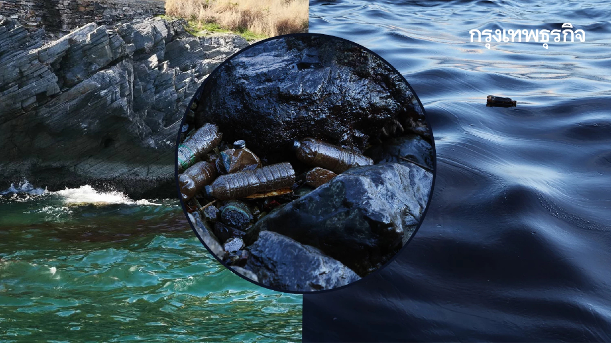 วิกฤตน้ำมันเรือรั่วเกาะสีชัง ห้ามจับสัตว์น้ำมากิน ไม่ลงเล่นน้ำ