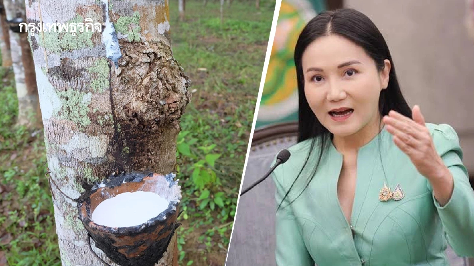 ชาวสวนยาง จี้ ถามนฤมล อนุญาต นำเข้าน้ำยางข้น ปมทำราคายางตกต่ำ