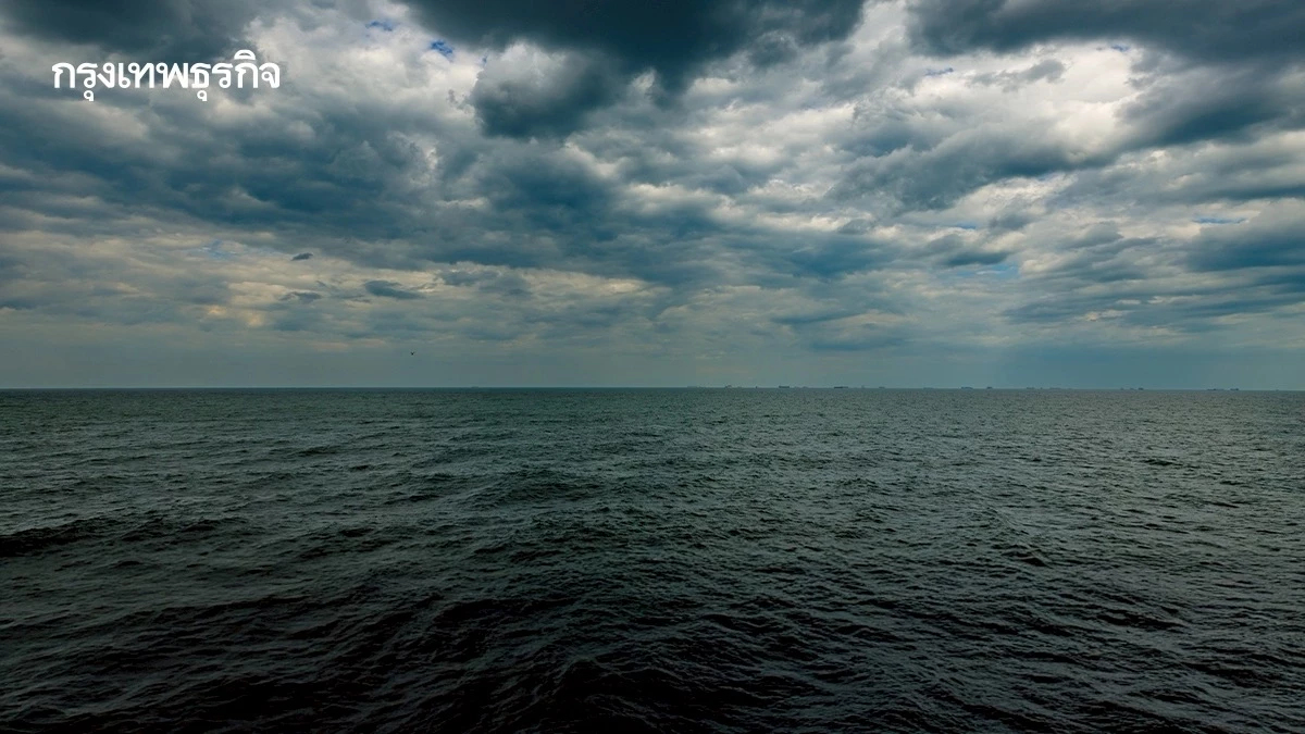 ทะเลทั่วโลก มืดลงกว่า 20% สัตว์น้ำมีเขตที่อยู่น้อยลง ระบบนิเวศเปลี่ยน