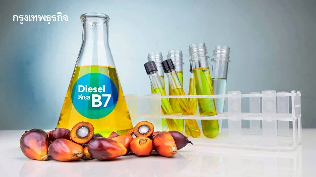 กนป. แก้ราคาปาล์มตกต่ำ ปรับสูตรน้ำมันดีเซลหมุนเร็ว จาก B5 เป็น B7