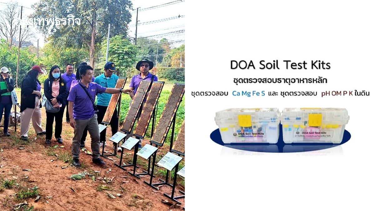 ชุดตรวจวิเคราะห์ดิน แม่นยำ กรมวิชาการเกษตรหนุนเกษตรกรใช้